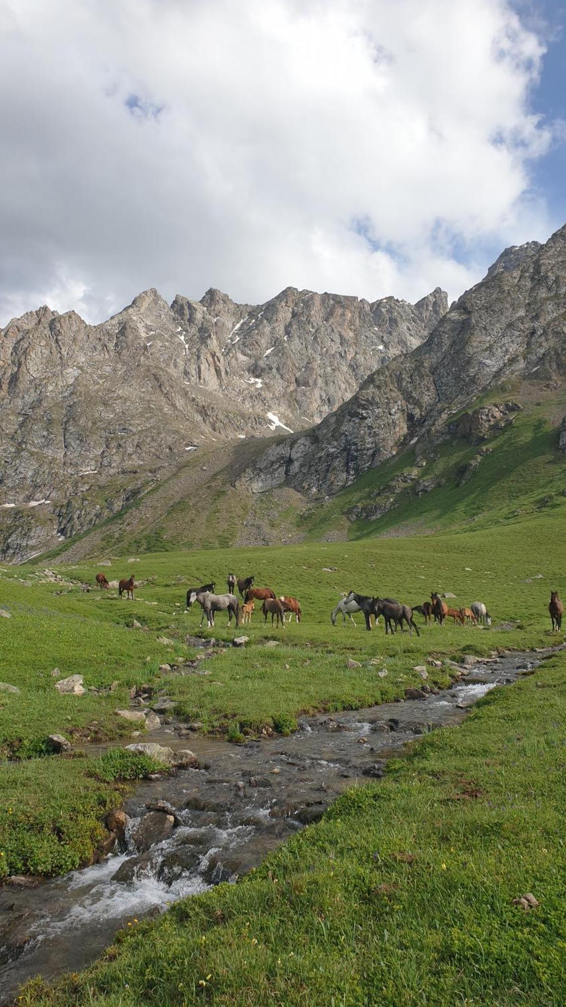 Mine Hostel Dzhergalan Jyrgalan Экстерьер фото